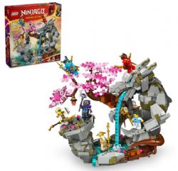 LEGO NINJAGO - LE SANCTUAIRE DE LA ROCHE DU DRAGON #71819 (0324)